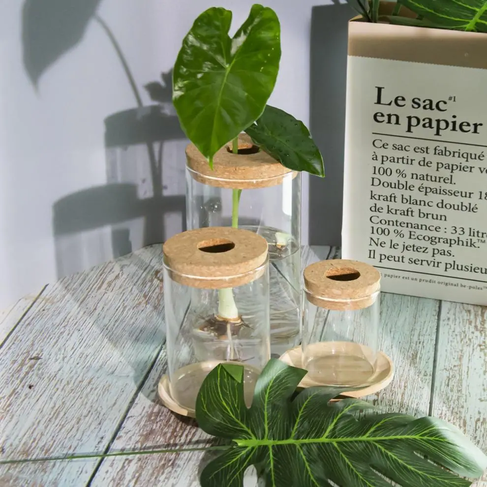 /O1CN01KN1ea21QIywwJRMBq_!!2219388441954-0-cib.jpg