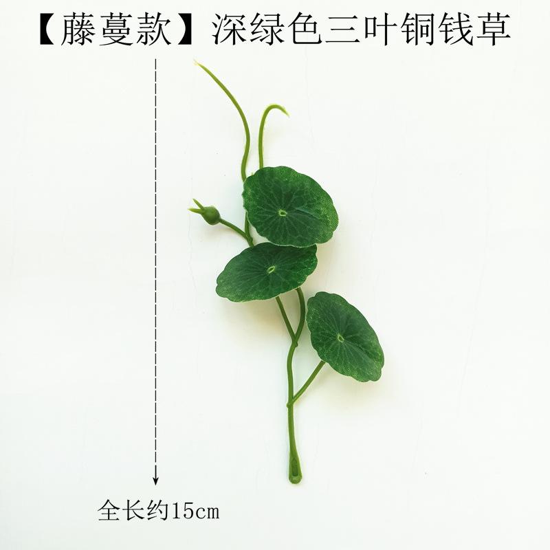 【藤蔓款】深绿色三叶铜钱草.jpeg