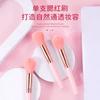 Pincel para Pó de Cerdas Simples para Iniciantes Pincel Portátil para Blush Ferramenta de Beleza para Maquiagem Pincel para Esfumar Ferramentas de Beleza Atacado