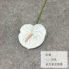 Flor Artificial Atacado Branco Palma Antúrio Verde Palma Rosa Palma Impresso em 3D Flor de Palma Fita de Filme Arranjo de Flor Falsa Pequeno Guindaste de Fogo
