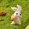 Rabbit Paradise Micro Paisagem Ornamentos bonitos dos desenhos animados Animais cenoura Coelho Casa de jardinagem Acessórios de resina Artesanato