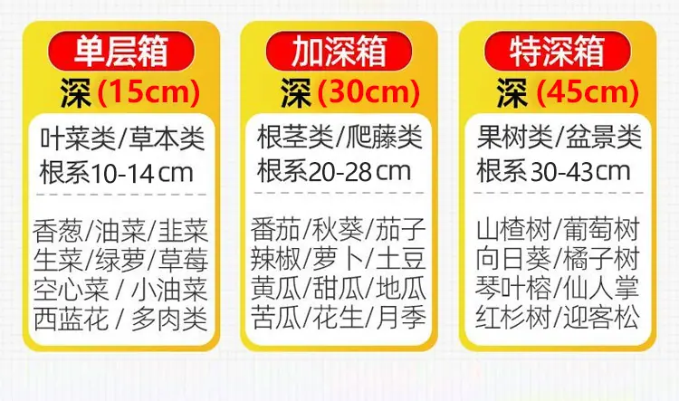 未标题-1_11.jpg