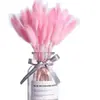 Fabricante Original Hierba de la Pampa Hierba Cola de Conejo Flores Secas Flores Reales Hierba Cola de Perro Planta de Moda Hierba Cola de Conejo Ramo de Flores Secas