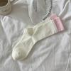 2024 otoño e invierno nuevo color sólido doble Luo Kou ins simple Joker calcetines de pila algodón calcetines de tubo de tracción para mujer al por mayor