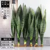 Planta en Maceta de Orquídea Cola de Tigre con Borde Dorado para Sala de Estar u Oficina, Fácil de Cuidar, Planta Verde Grande, Orquídea Cola de Tigre