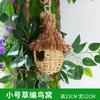 Árvore Videira Videira Videira Montanha Vermelha Folha de Uva Ramo Planta Verde Tubo Decoração Paisagem Biônica Cobertura