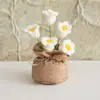 Bolsa de la Suerte Tejida a Crochet Hecha a Mano Transfronteriza Plantas Pequeñas en Maceta Muebles para el Hogar Decoración de Rosa Tejida de Lana Plantas en Maceta Flor Simulada