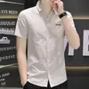 Comércio Exterior Transfronteiriço Quatro Estações Camisa Masculina Juventude Verão Xadrez Bordado Manga Curta Casual Slim-fit