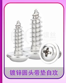 镀镍圆头带垫自攻16_04.jpg