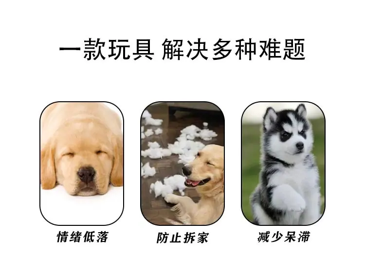 多用5