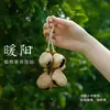 Sino Pendente Natural Feito à Mão com Casca de Fruta Som de Sementes Cura Sonora Sino de Mão Pingente de Bolsa de Frutas Realizadora de Desejos Presente de Yunnan