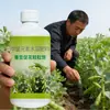 Potenciador de Crecimiento de Vainas de Frijol, Estimulador de Crecimiento de Plántulas, Líquido Estimulante de Raíces y Fortalecedor de Plántulas, Fertilizante Foliar para Prevenir la Caída de Flores y Vainas, Aumentar el Rendimiento, Venta al por Mayor