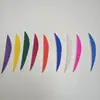 Penas de Folha de Salgueiro Reais de 3 polegadas, Penas de Peru de Cor Pura, Hastes de Flecha Mistas de Carbono Puro e Penas de Flecha para DIY, Venda Quente Transfronteiriça