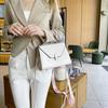 Bolso Cruzado 2024 Bolso de Mano Moderno Bolso de Temperamento para Mujer Bolso Cuadrado Pequeño a la Moda y Más Fácil de Combinar Bolso de Hombro Único Bolso Baguette con Patrón de Cocodrilo