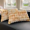 Par de Fronhas de Pelúcia de Pelo de Coelho para Inverno, Espessadas com Veludo de Leite, Capa para Enchimento de Travesseiro de Fleece Coral, Peça Única