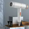 Secador de Pelo de Alta Velocidad Cuidadosamente Seleccionado para Uso Doméstico, Portátil, Potente, Secado Rápido, Secador de Pelo Eléctrico Caliente y Frío, Secador de Pelo para Cuidado del Cabello en Viajes de Hotel