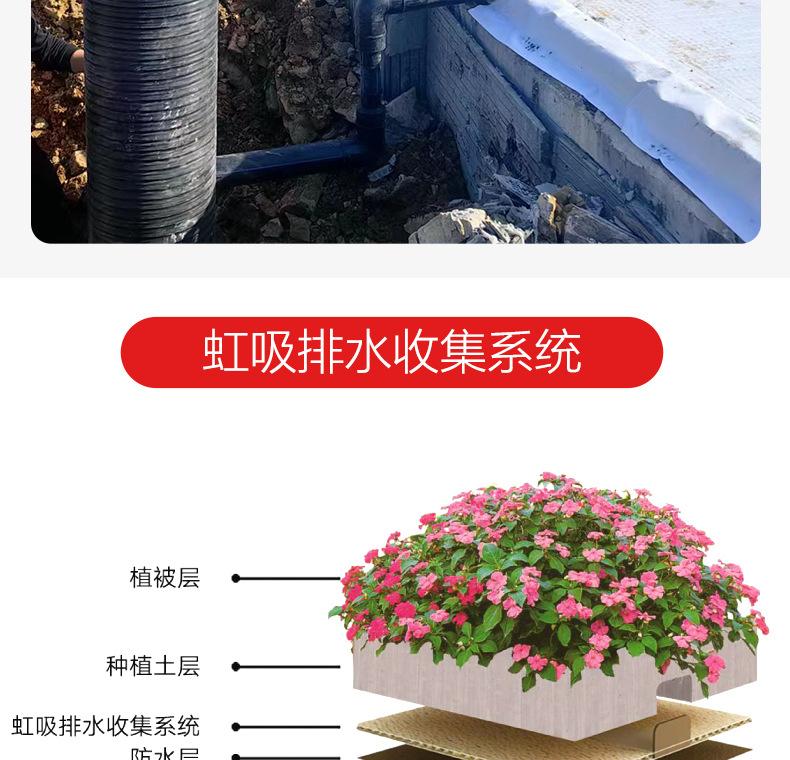 虹吸排水板