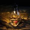 Escena creativa DIY con luz regalo bola transparente regalo de vacaciones accesorios para fotografía árbol de Navidad colgante pequeño comercio exterior