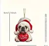 Pingentes de Natal Novos de Acrílico Transfronteiriços, Decorações para Casa, Interiores de Carro