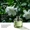 Chá Verde Aromaterapia Sem Chama Interior Casa Banheiro Desodorizante Fragrância Quarto Purificador de Ar Difusor de Aroma Atacado