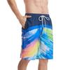Calças de praia transfronteiriças do Havaí Shorts masculinos de comércio exterior Calças esportivas Secagem rápida Designação de padrão de impressão digital 3D europeia e americana