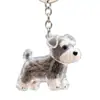 Colgante de Pelo de Mascota Cachorro Lindo Pelo Caja Transparente de Almacenamiento Forma de Gato y Perro Llavero Colgante Creativo