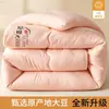 Colcha de Fibra de Soja Colcha Cálida Núcleo de Colcha Dormitorio Persona Sola Colcha de Invierno Colcha de Primavera y Otoño Colcha de Algodón Colcha Fresca de Verano Colcha de Aire Acondicionado Uso en Todas las Estaciones