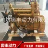 30 Motor de Carregadeira WEICHAI MOTOR WP6G125E2 Daoutz MOTOR DIESEL