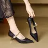 Sapatos Elegantes de Bico Fino Estilo Francês com Salto Alto, Scarpins Versáteis Casuais de Bico Fechado, Novo Modelo Popular 2025 para Primavera e Outono