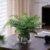 Planta de Gardenia Hidropónica, Bola de Musgo en Maceta, Mini Rosa, Planta Verde de Oficina, Bambú de la Suerte, Árbol del Dinero de Escritorio para Interiores