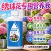 Solución Nutricional Especial para Hortensias para Brotación y Enraizamiento Fertilizante Fertilizante Especial para Plantas de Maceta de Hortensia Solución Líquida Fertilizante