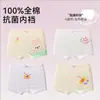 Ropa interior para niñas, tipo algodón puro para niños, algodón, bebés niñas, niños pequeños, calzoncillos bóxer para niñas de primaria que no aprietan las nalgas