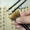 Suministros de Pinceles Zhongkai Pincel de Pluma de Pollo, Pincel de Pelo de Lobo, Pintura Fina con Pincel, Pintura China
