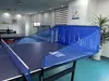 Rede de Pegar Bolas de Ping Pong de Mesa, Rede Coletora de Bolas de Chão, Coletor de Bolas, Suporte para Várias Bolas, Rede de Pegar Bolas, Rede Coletora de Bolas Móvel