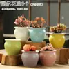 Vaso de Flor Suculenta Cerâmica Preço Especial Liquidação Esmaltado Tamanhos Grande e Pequeno Simples Pastoral Mesa Vasos de Barro Respirável Plantas Leede Estoque