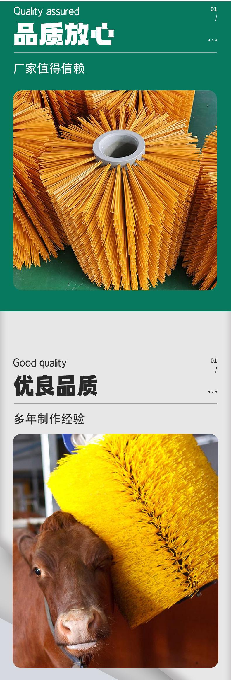牛体刷详情_03.jpg