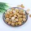 Guijarros, Piedras Flor de Lluvia, Piedras en Bruto, Paisajismo para Acuarios, Flores de Cultivo Hidropónico, Piedras Pequeñas, Macetas, Plantas en Maceta, Piedras Decorativas Multicolor