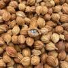 Sementes de Sândalo Aromáticas Especiaria, Tempero de Sândalo Yangchun a Granel, Atacado 500g, Secos de Grau Alimentício Comercial, Caixa Fechada 0,5kg para Venda em Barraca