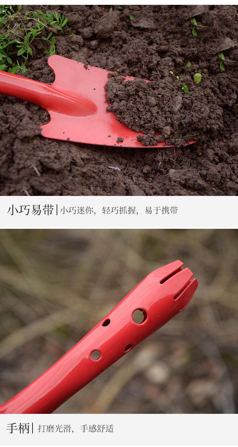 详情5