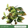 Paisajismo Simulado de Plantas Verdes Transfronterizo, Muro Vegetal de Eucalipto, Decoración de Arreglos Florales, Hojas Pequeñas, Accesorios para Muros Vegetales de Plantas Verdes Artificiales