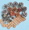 Fruta Fixa Natural Planta Fruta Casca Espécime Material Decoração Flores Secas Fatias Jardim de Infância DIY Pacote de Material de Natal