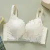 Sutiã Sexy de Renda com Bojo Espesso de 5cm para Mulheres com Pouco Seio, Push-Up, Sem Fio, Acolchoado, Ajustável