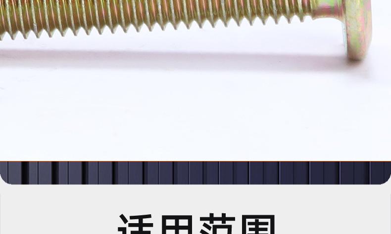 镀彩锌倒边十字螺丝_03_20.jpg