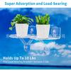 Estante de almacenamiento para plantas suculentas en maceta de acrílico transparente en forma de D para sala de estar, baño, cocina, estante de almacenamiento montado en la pared