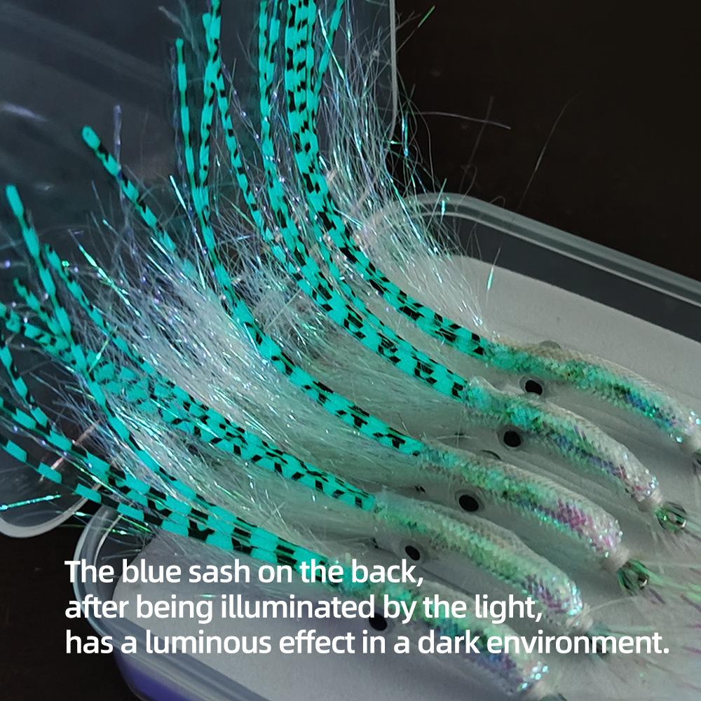 XB024夜光须鱿鱼06