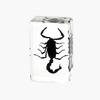 Resina de Venta Caliente Transfronteriza Muestras de Insectos Reales Araña Escorpión Saltamontes Regalo de Recompensa para Estudiantes de Primaria Regalo Artesanal