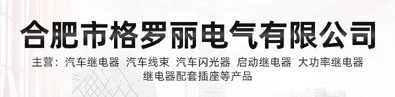 汽车启动继电器详情_02