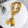 Bufanda larga nueva bufanda pequeña para mujer de Corea del Sur primavera y otoño bufanda fina estrecha de doble cara corbata de moda decorativa