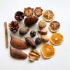 Materiales DIY de Piñas, Segmentos de Madera, Decoraciones Creativas para Hoteles, Ramas Secas, Fabricación de Frutas, Muestras Decorativas Suaves, Piñas, Plantas Decorativas