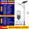 Projeto de Iluminação de Poste de Luz Solar Cabeça de Poste de Luz 6m Poste de Luz de LED Fabricante 6m Nova Área Rural